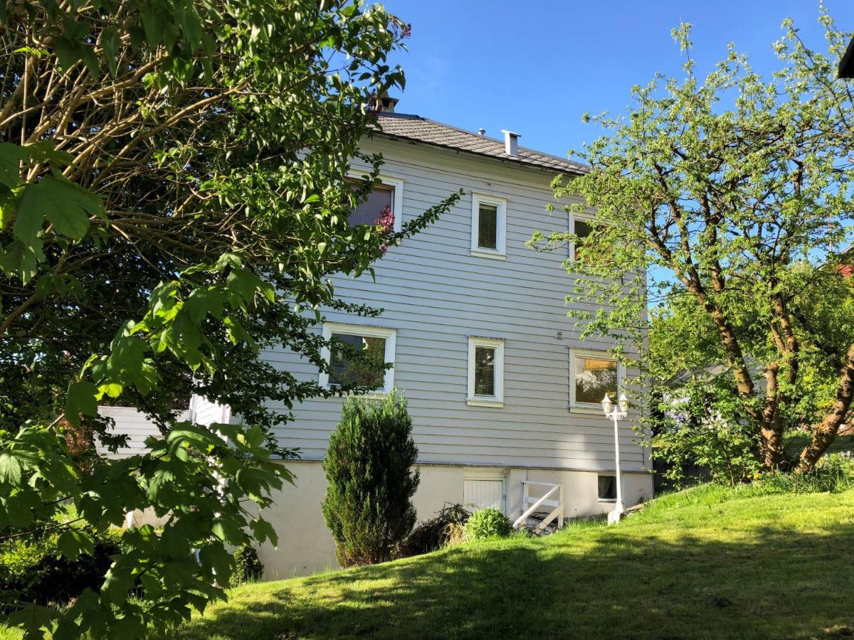 # 1 Mountain View With Free Street Parking Apartamento Bergen Exterior foto