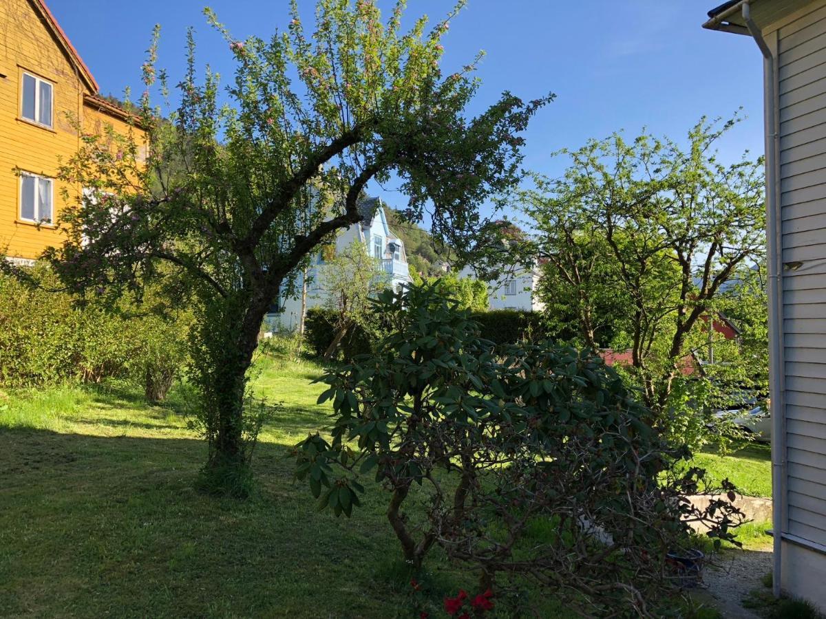 # 1 Mountain View With Free Street Parking Apartamento Bergen Exterior foto